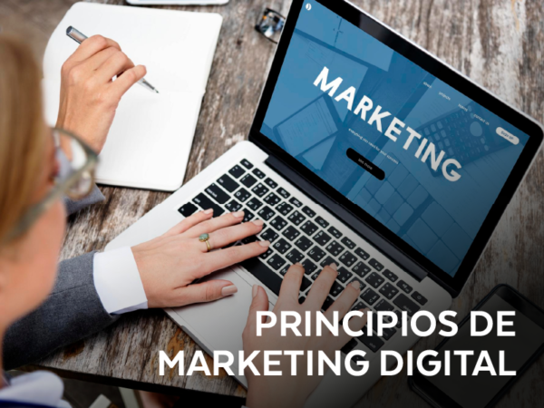 Principios de Marketing Digital