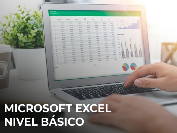 Microsoft Excel: Nivel Básico